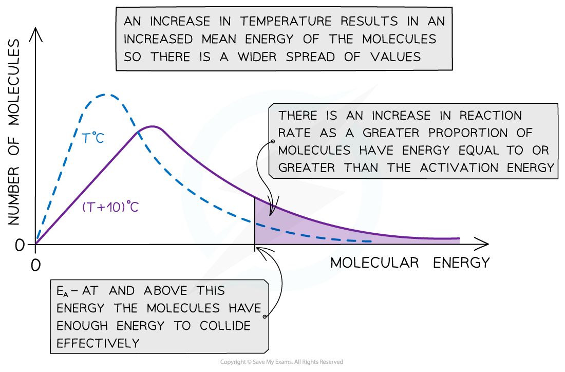 * If you increase the temperature of a substance, the molecules will, on average, have more kinetic energy and thus move faster
* This means a greater proportion of molecules will have at least the activation energy and be able to react
* This will slightly flatten, and push the Boltzmann distribution curve over to the right. The number of molecules is still the same, so the area under the curve must not change
