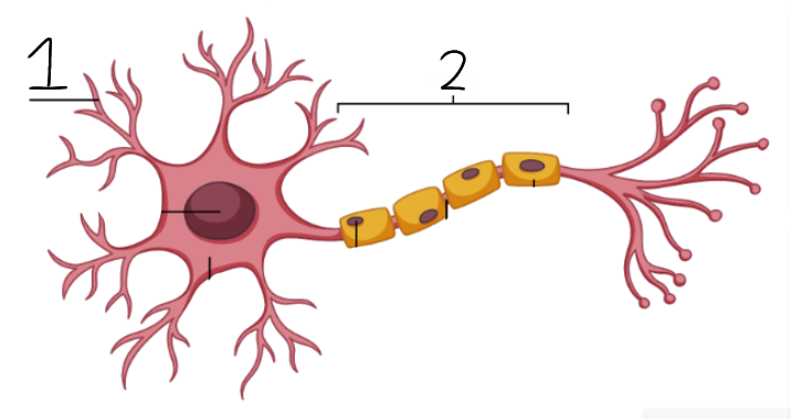 <p>What is 1? Purpose?</p>