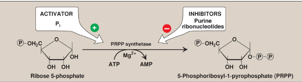 <p>What does this demonstrate?</p>