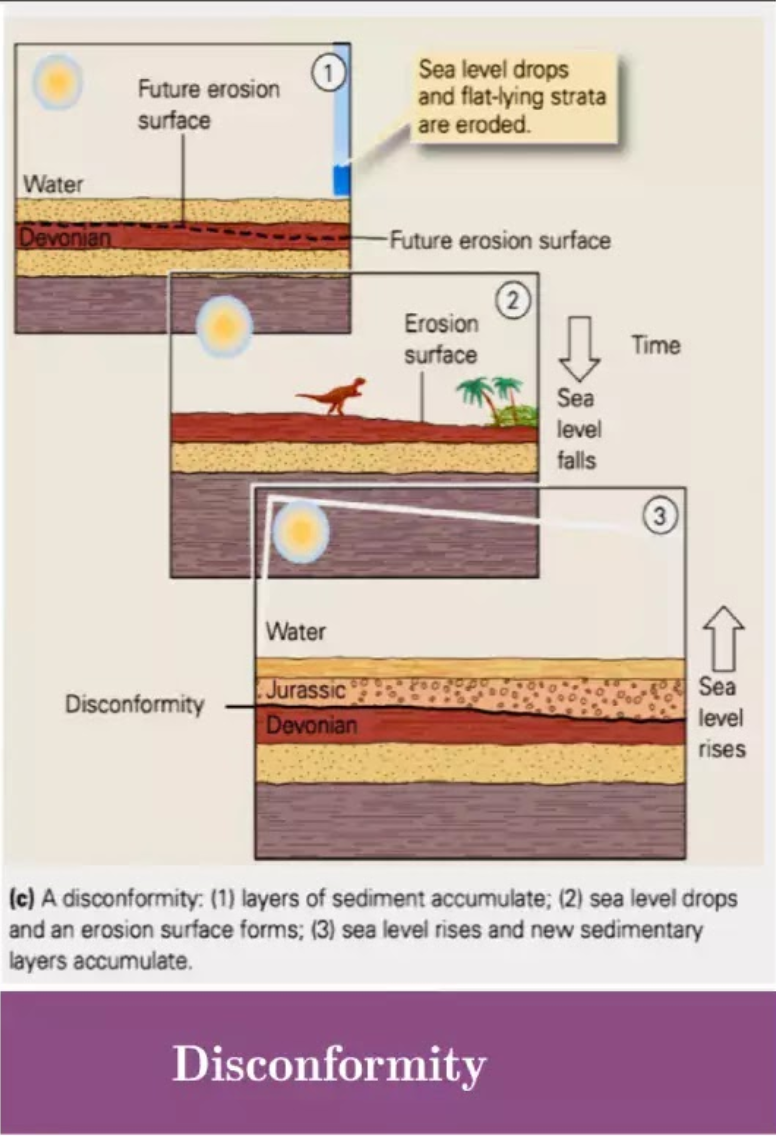 <ul><li><p class="ds-markdown-paragraph"><strong><span>Formation:</span></strong></p><ol><li><p class="ds-markdown-paragraph"><span>Sedimentary layers are deposited.</span></p></li><li><p class="ds-markdown-paragraph"><span>Sea level drops, exposing the layers to </span><strong><span>erosion</span></strong><span>, creating a flat, irregular surface.</span></p></li><li><p class="ds-markdown-paragraph"><span>Sea level rises again, and new sedimentary layers are deposited on top of the old, eroded surface.</span></p></li></ol></li><li><p class="ds-markdown-paragraph"><strong><span>Implication:</span></strong><span> Represents a </span><strong><span>gap in the geologic record</span></strong><span> where a period of erosion occurred between periods of deposition, with no tectonic deformation.</span></p></li></ul><p></p>