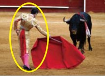 <p>bull fighter</p>