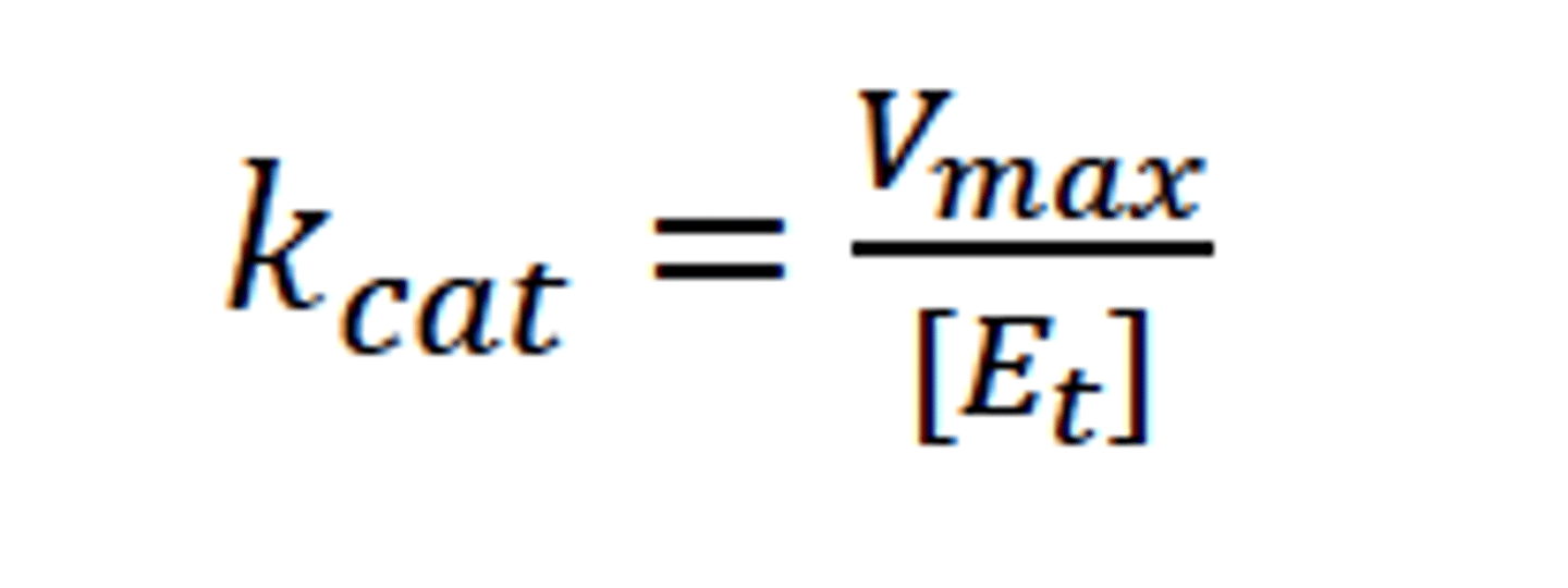 <p>The catalytic rate constant of an enzyme</p><p>Vmax/enzyme concentration</p>
