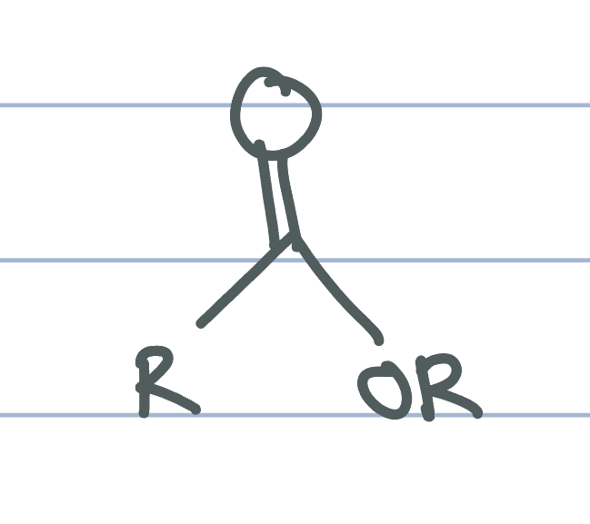 <ul><li><p>a carbonyl group (C=O) with one “R” group attached to the carbonyl carbon and one -OR group </p></li><li><p>The -OR group is part of the ester NOT a separate ether </p></li><li><p>*if you see what you think is an ether, heck to make sure it’s not part of an ester </p></li></ul><p></p>