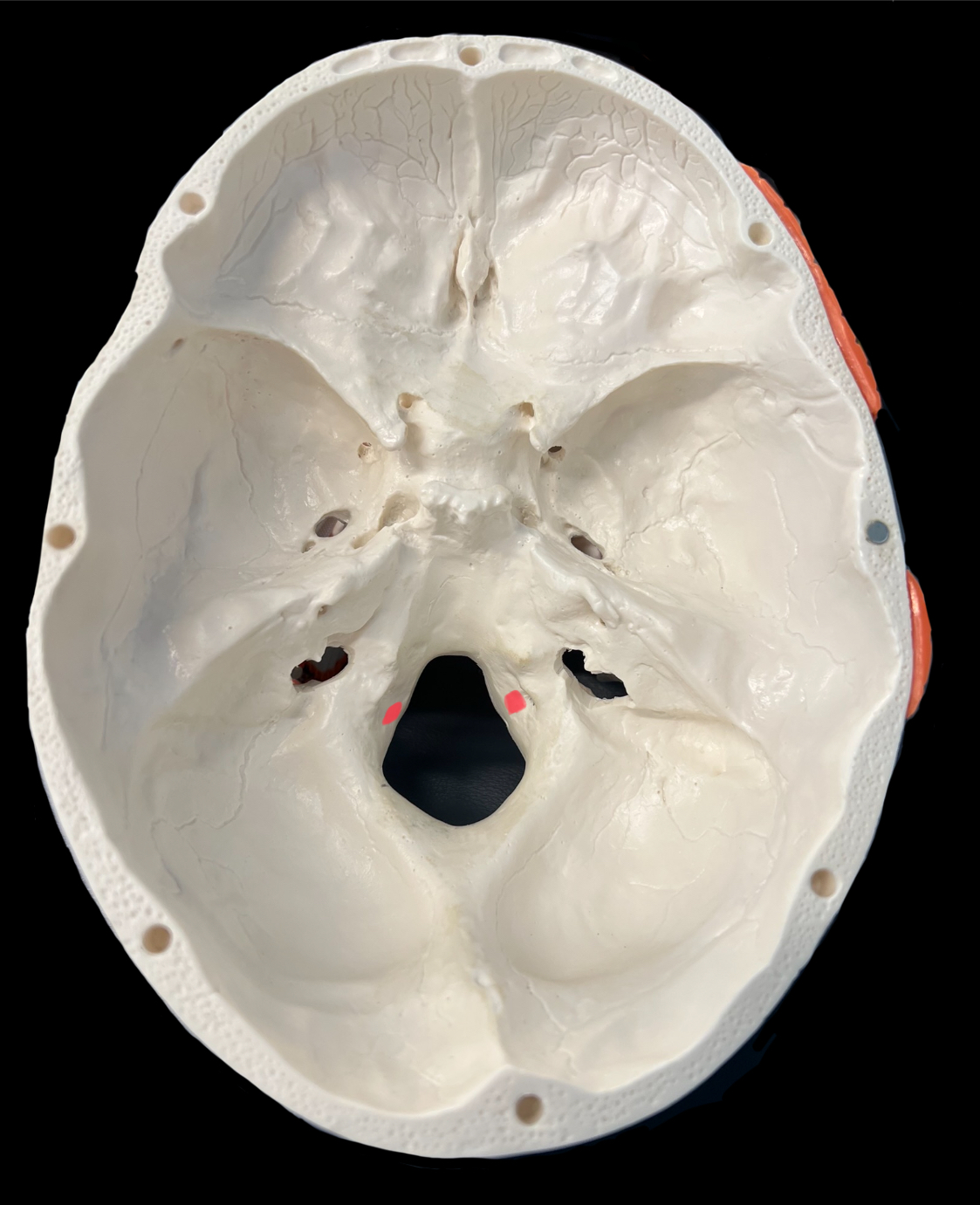 What is highlighted in red?

What goes through it?