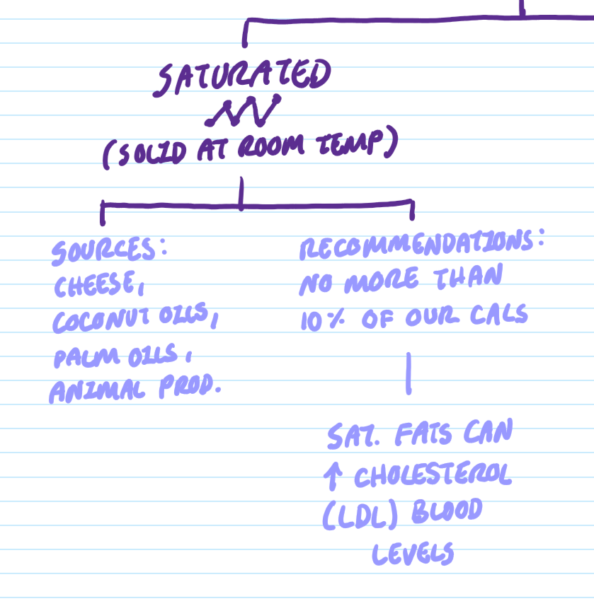 <ul><li><p>single bonds between carbons (<u>no double bonds</u>),</p></li><li><p><u>solid </u>at room temp</p></li><li><p>health effects = <u>rise in LDL (bad cholesterol) levels</u></p></li><li><p>eat <u>no more than 10% of our calories</u></p></li></ul><p></p>