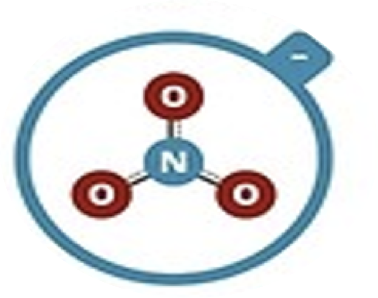 <p>Nitrate</p>