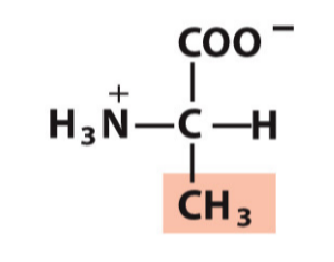 <p>Ala, A</p><p>Hydrophobic/Non-polar</p>