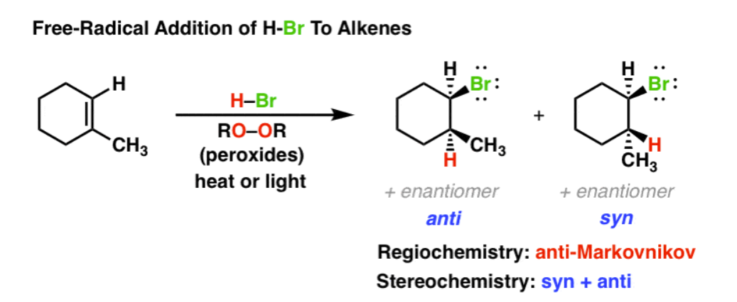 <ul><li><p>anti-Markovnikov</p></li><li><p>Br attaches to least substituted carbon in a double bond</p></li></ul><p></p>