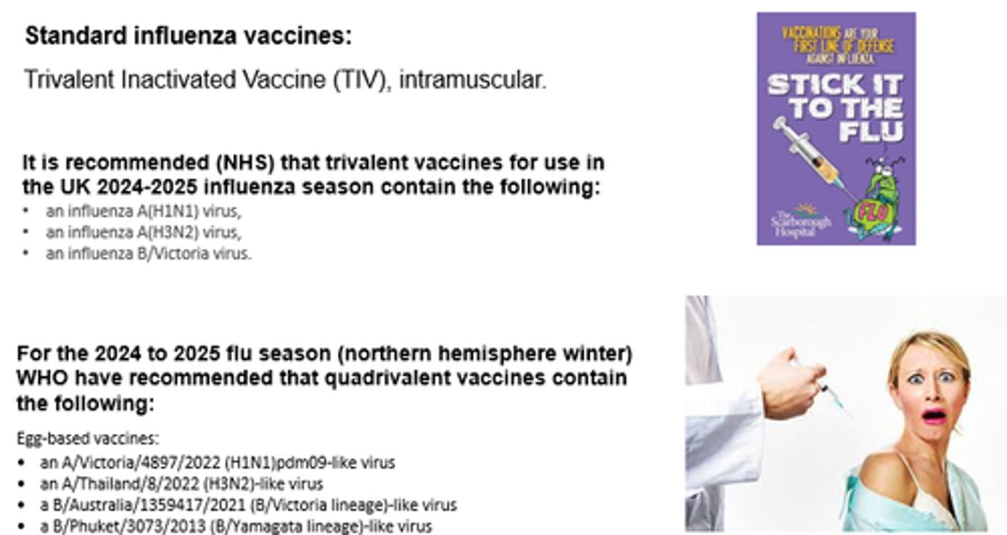 <p>The no of strains in the vaccine.</p>