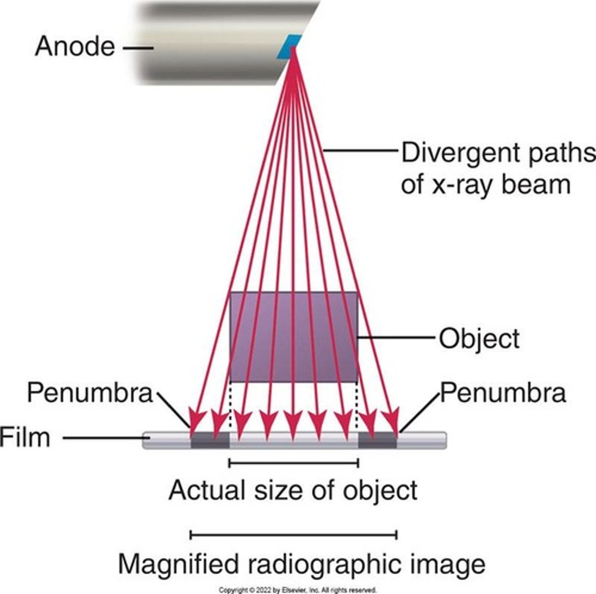 <p>Results from the divergent paths of the x-ray beam as they radiate from the focal spot.</p>