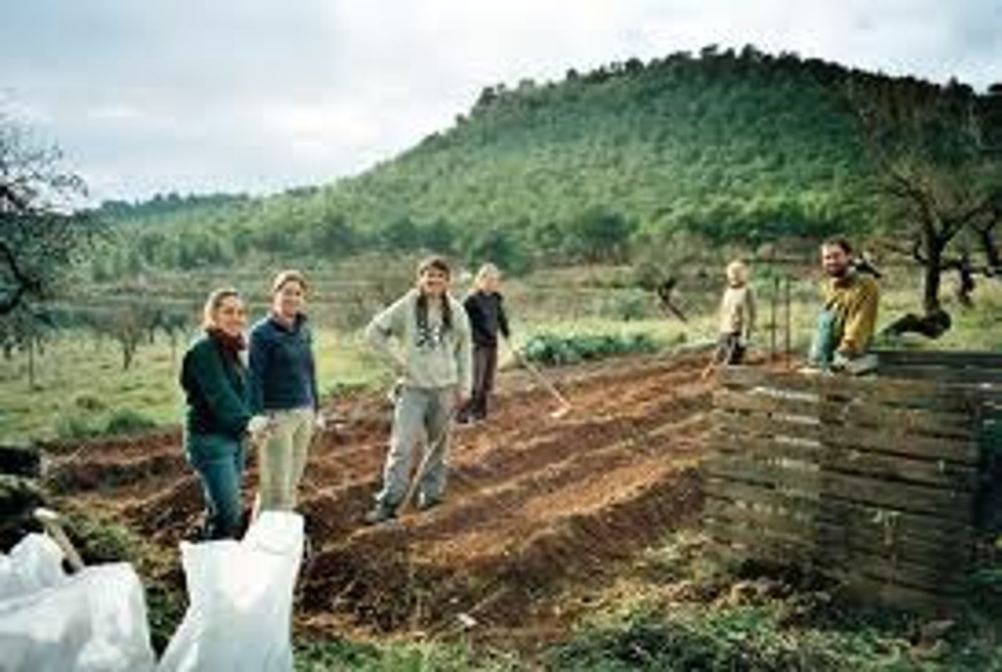 <p>Grassroots movements that attempted to address the plight of farmers in the late 1800s; attempted to regulate railroads and enlarge opportunity for credit; evolved into Populist movement.</p>