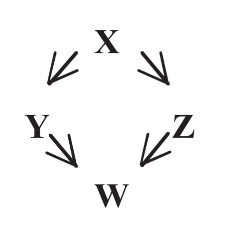 <p>What type of forward network motif is shown here?</p>
