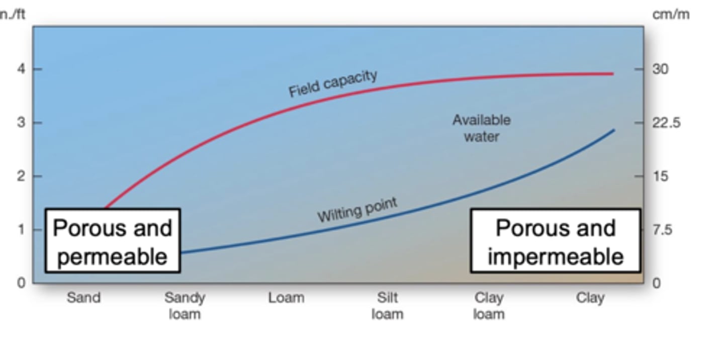 <p>sand drains too fast to hold plant water, clay holds too much water too tightly for plants to use, and loam provides the BEST balance of water storage and drainage — giving plants the most available water.</p>