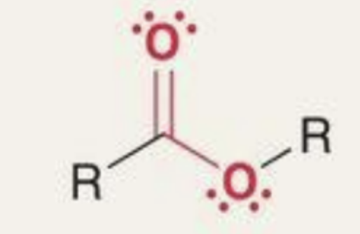 <p>What functional group is this?</p>
