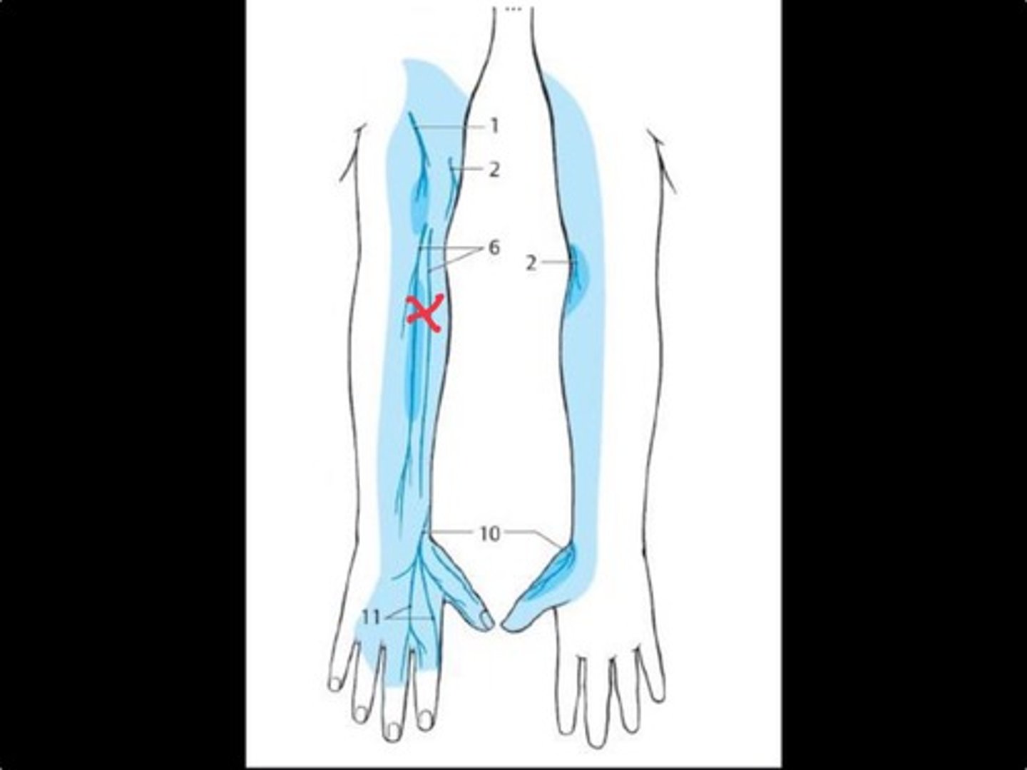 knowt flashcard image