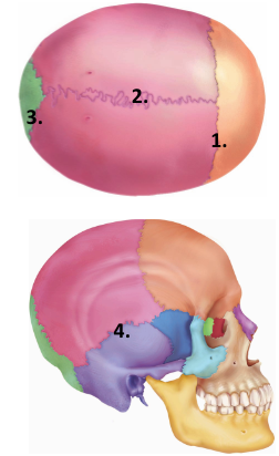 <p>1</p>