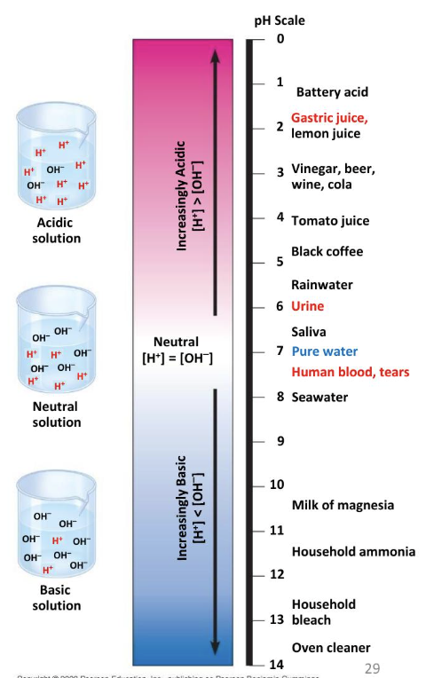 <p>the acidity or basicity of a solution</p>