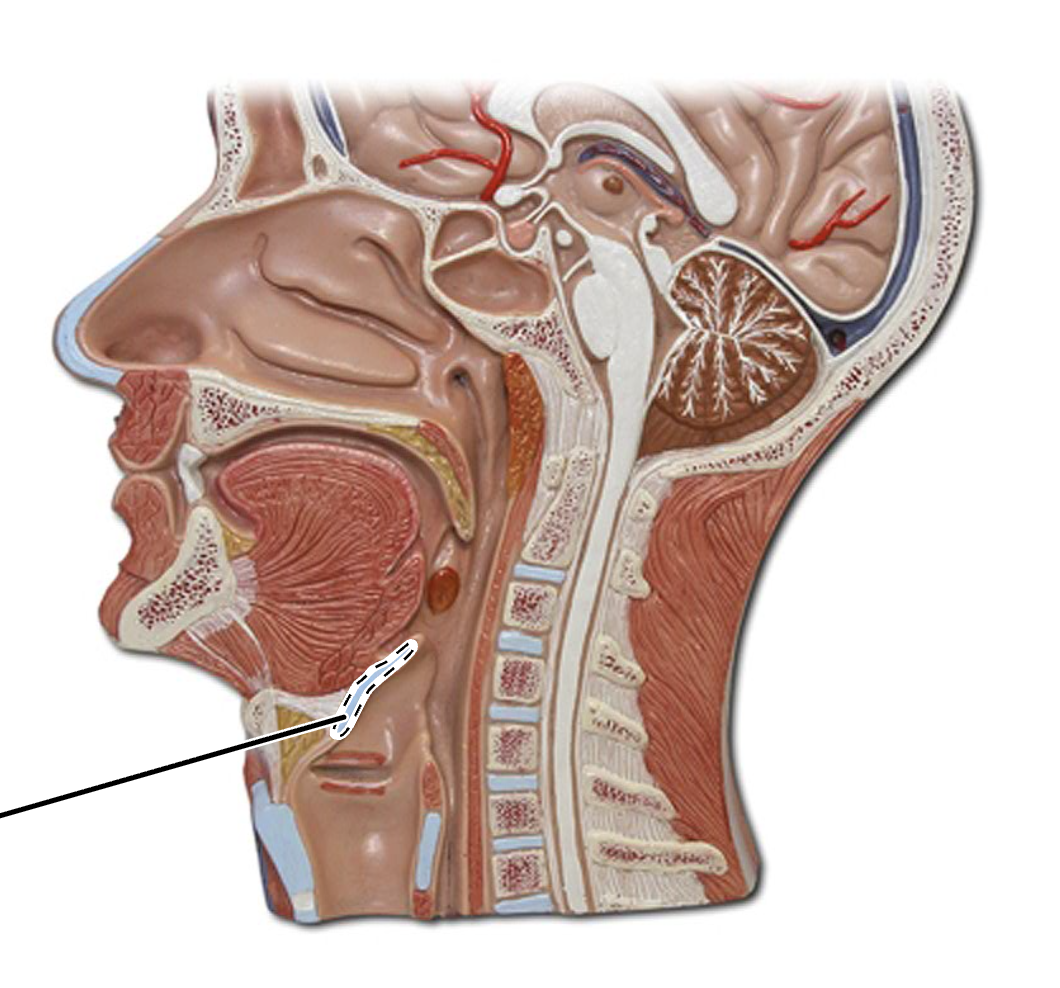 <p>What is this?</p>