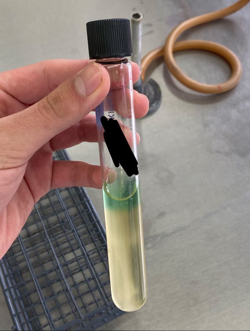 <p>Nombre del medio de cultivo, su utilidad, y de qué bacteria podría tratarse</p>