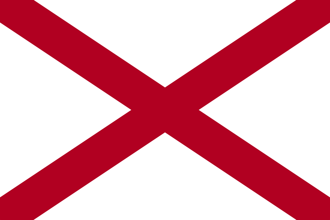 <p>A white background with a red diagonal cross</p>