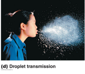 <p>What is droplet transmission?</p>