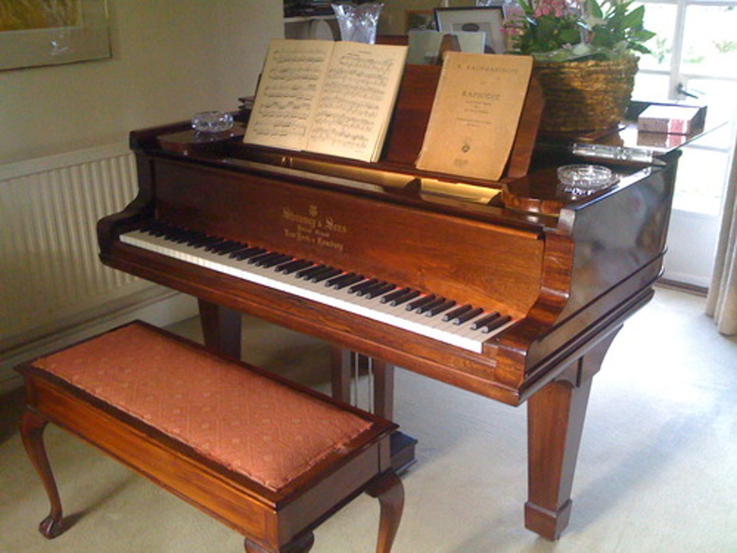 <p>le piano</p>