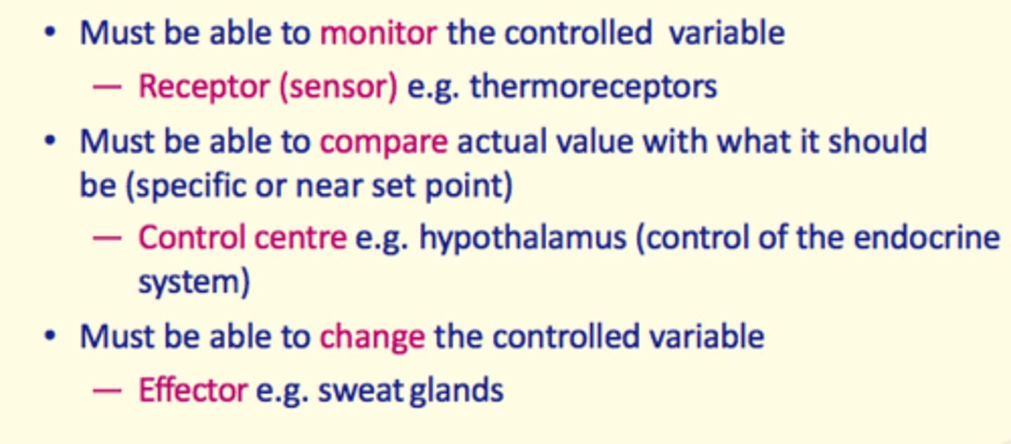 <p>- Receptor e.g., thermoreceptor </p><p>- Control centre e.g., hypothalamus </p><p>- Effector e.g., sweat glands </p>