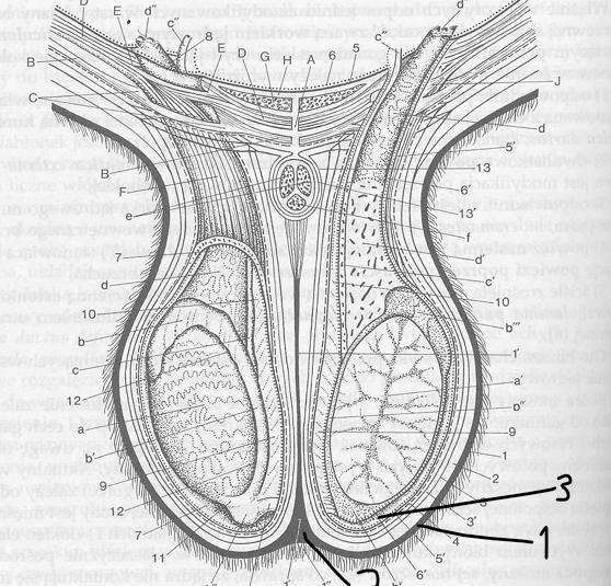 <p>podaj 1,2,3</p>