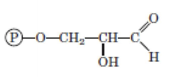 <p>What structure is this?</p>