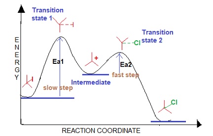 <ul><li><p>two transition states</p></li><li><p>one intermediate</p></li><li><p>product is lower in energy than reactant</p></li><li><p>second transition state is lower in energy than first</p></li><li><p>slow step first</p></li></ul><p>s</p>