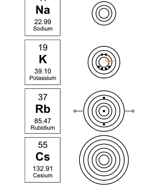<p>The size of the atom itself; the distance from the nucleus to the furthest out electron in the electron cloud.</p><p><strong><u>Trend</u></strong>: atomic radius increases as you move down the periodic table, decreases as you move to the right.</p><p>Why does it decrease? As you add more protons you add more electrons and the attraction of the electrons to the nucleus becomes greater, causing the electron cloud to move inwards. </p>