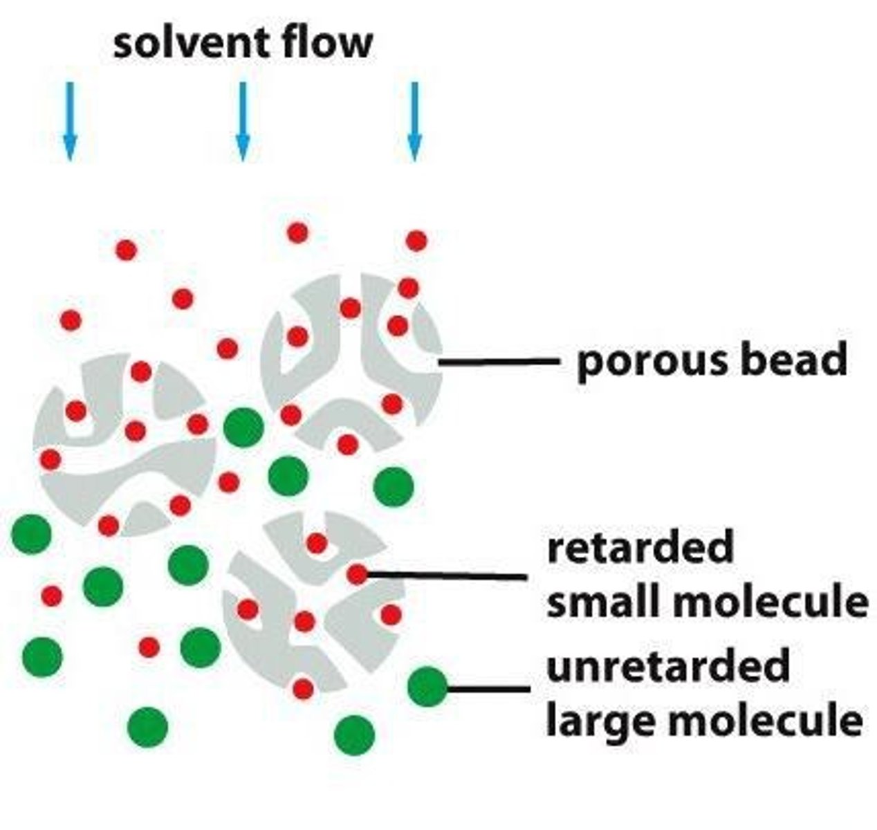 <p>Separates proteins based on size.</p>