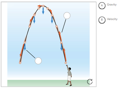 (3)  In the following diagram, label the gravitational force and velocity on the corresponding vector arrows.