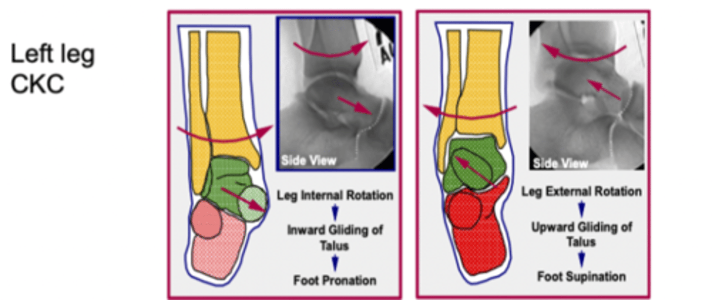 <p>1. Single axis</p><p>2. Not in true AP plane</p><p>3. uniaxial but oblique hinge joint</p><p>4. Talocrural coupling - axis shifts slightly with motion "lower leg rotation initiates movement of the talus which causes simultaneous motion in all 3 joints"</p><p>5. Closed pack in DF. Ligaments and capsule are taught</p><p>6. PF: open pack, loose - where you want to do mobs</p>