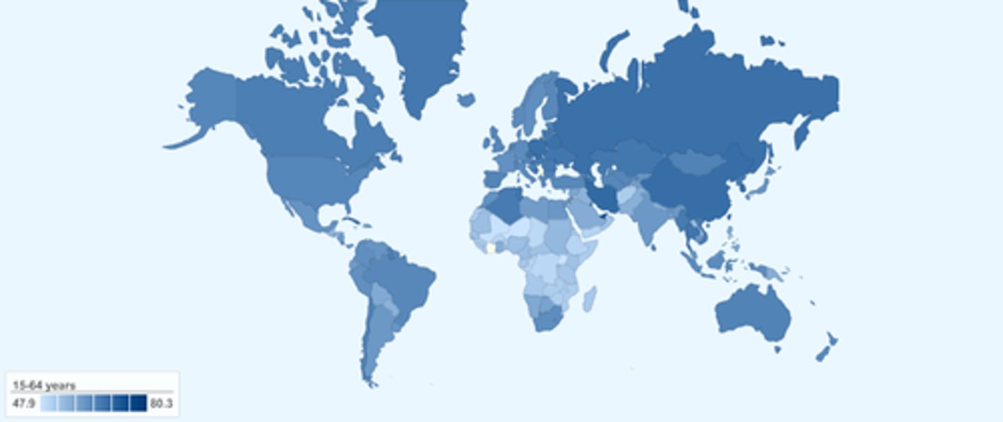 <p>Level at which national population ceases to grow</p>