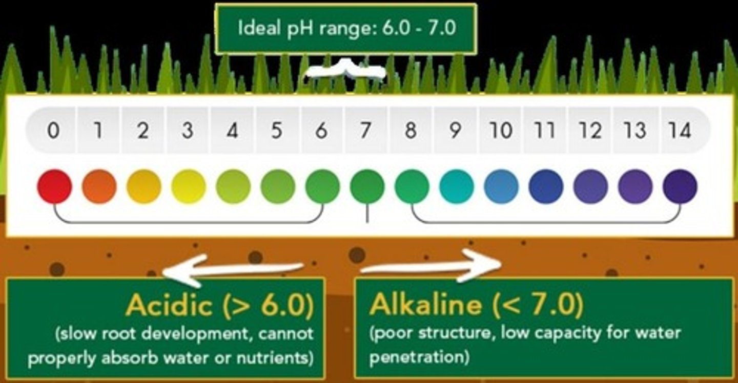 <p>Close to 7</p>