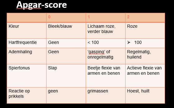 <p>Stap 1: Afdrogen en tactiele stimulatie: opvangen in warme, droge doeken en afdrogen (warmteverlies voorkomen en de tactiele stimulatie activeert de ademhaling). Alle andere handelingen hangen af van de conditie van de neonaat.</p><p>Hierna bepaal je de APGAR-score (APGAR score niet uit het hoofd leren, wel kunnen interpreteren).</p><p>Indien de neonaat het moeilijk heeft:</p><p>Stap 2: Zorgen voor een vrije ademweg. Je positioneert het hoofdje met een chin lift of jaw thrust en je aspireert wanneer dit nodig is → eerst de mond dan de neus, het zijn neusademhalers en anders gaan ze ademen en de slijmen inademen. Ga maximum 5cm diep en voor max 5sec. De aspiratiedruk is 100mm/Hg.</p><p>Stap 3: Balloneren: met 6l O2 via een aangepaste ballon. Wanneer je een O2-reservoir gebruikt kan je een FIO2 van 90% bereiken. Als er na 1-2 minuten geen reactie komt op adequaat balloneren wordt er overgegaan tot intubatie en beademing → andere verdere asfyxie waarvan het kind steeds moeilijker recupereert.</p><p>Stap 4: Intubatie en beademing: met een aangepaste rechte tube ZONDER CUFF. Bij voorkeur nasotracheale intubatie omdat dit beter gefixeerd kan worden en een betere orale hygiëne toelaat. Er moet hier ook:</p><p>-Maagsonde geplaatst worden om alle lucht en secreties uit de maag te aspireren.</p><p>-Navelkatheter plaatsen.</p><p>-Natriumbicarbonaat 2meq/kg verdund met 1:1 steriel water (geen NaCl door zoutbelasting) traag IV toedienen.</p><p>-Na het natriumbicarbonaat glucose 10% 60ml/kg/24u toedienen.</p><p>-Beademingstube goed fixeren.</p><p>Stap 4: Hartmassage en medicatie: evalueren na 30 seconden en stoppen bij een ritme hoger dan 60sl/min.</p><p>Stap 5: Klaarmaken voor transport naar de NICU: blijf de saturatie, hart en AH opvolgen en controleer de gebruikte toestellen. Hou rekening met de omgevingstempratuur en onderkoeling. Verzamel anamnetische en partus gegevens en zorg voor een RX-thorax en bloedresulaten. Wacht altijd tot het kind stabiel is voor transport!!</p><p>=> Als al deze handelingen adequaat zijn uitgevoerd maar na 10 minuten nog geen effect hebben moet je stoppen.</p>