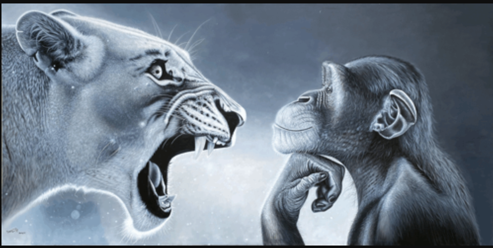 <p>Grindon - Mara’s Attacks (all failed!)</p>