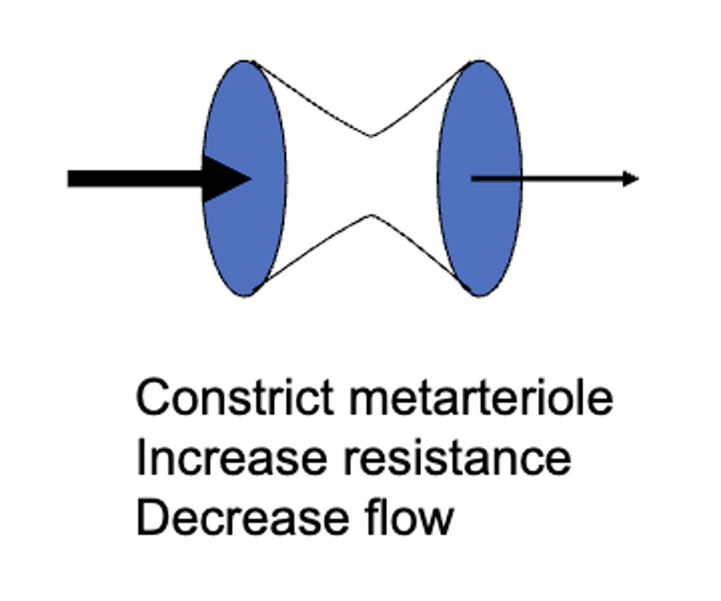 <p>increase, decrease</p>