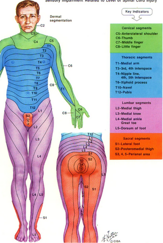 Esp look at lower extremities