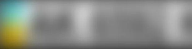 <p>Flag on license plate</p>