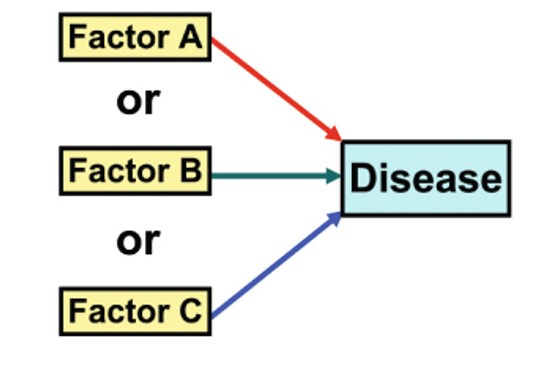 <p>The factor alone can cause disease, but it's not the only possible cause.</p>
