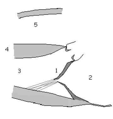 <p>4</p>
