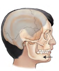 <p>Movement term </p>