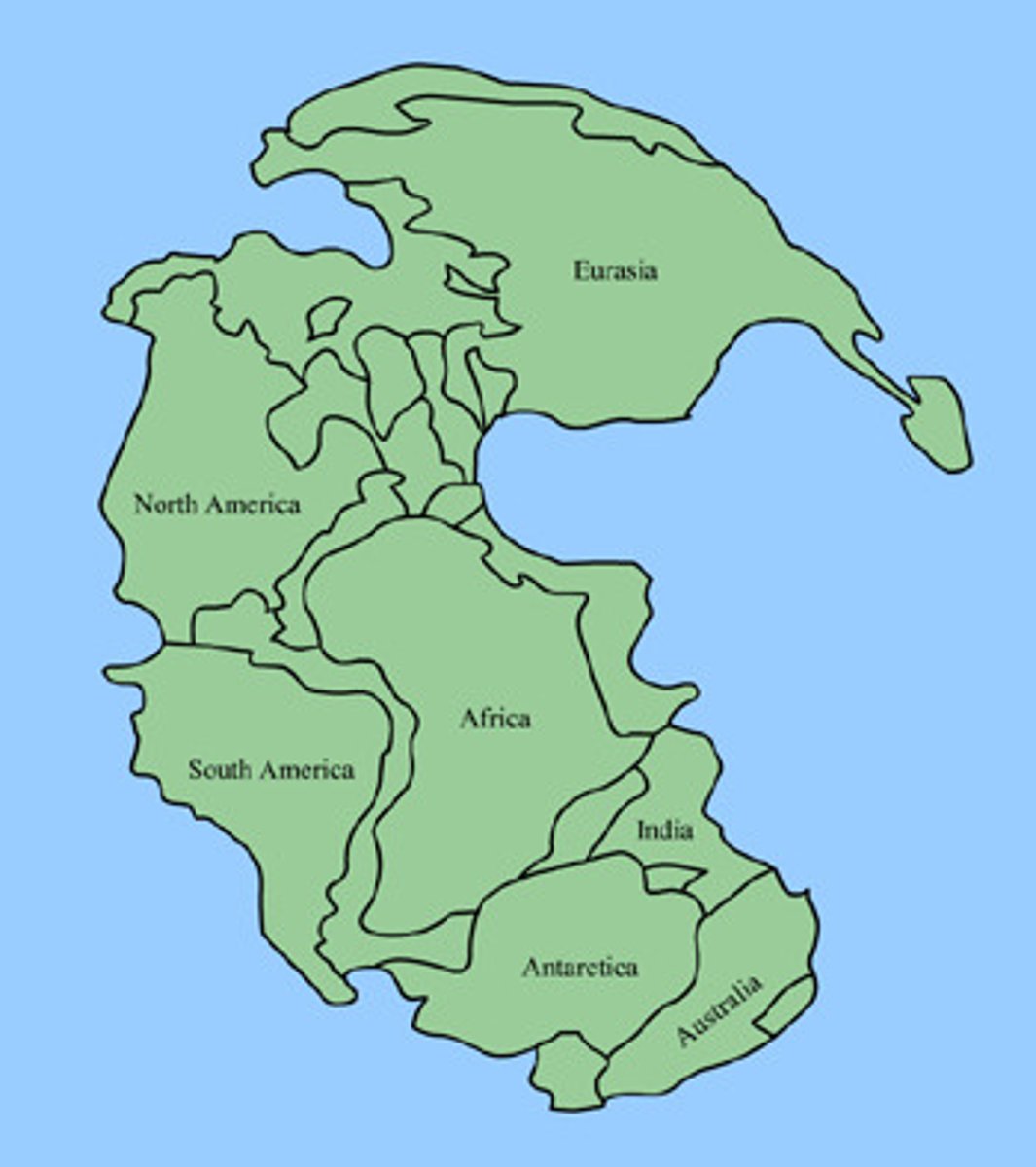 <p>Pangaea</p>