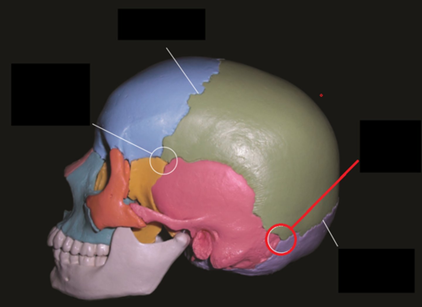 <p><em>identify the structure:</em></p>