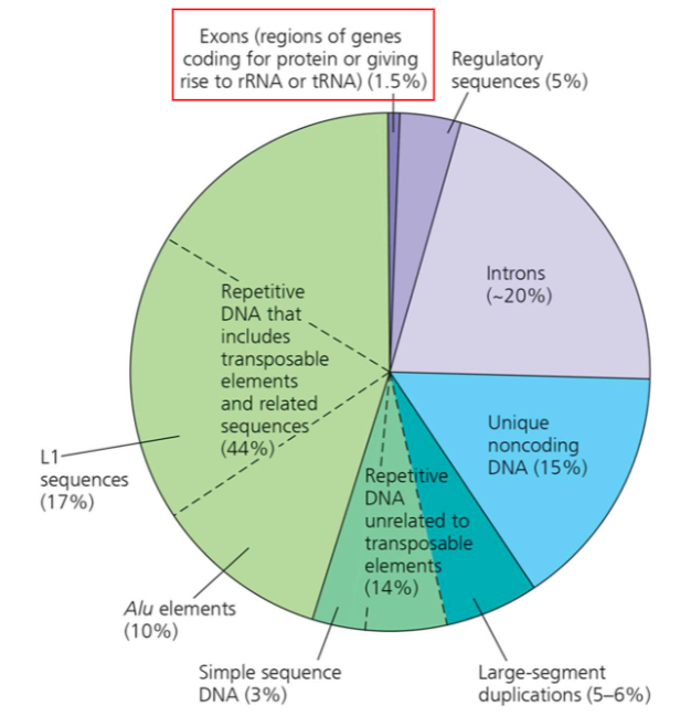 not particularly functional 