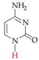 <p>ID this structure</p>