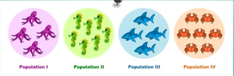 <p>group of organisms of same species that are living in same area at same time</p>