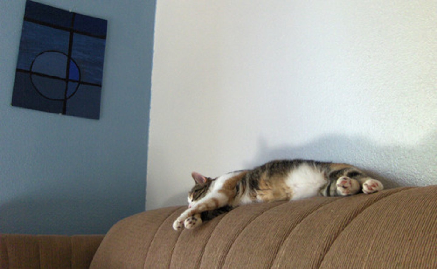 <p>stop being lazy</p>